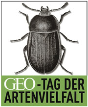 Logo GEO-Tag