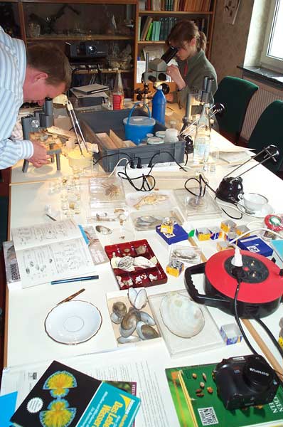 Bestimmungskurs im Institut (Bild D. Diehl)