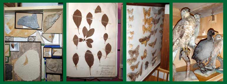 Bildcollage Sammlung NIL, Bild: D. Diehl